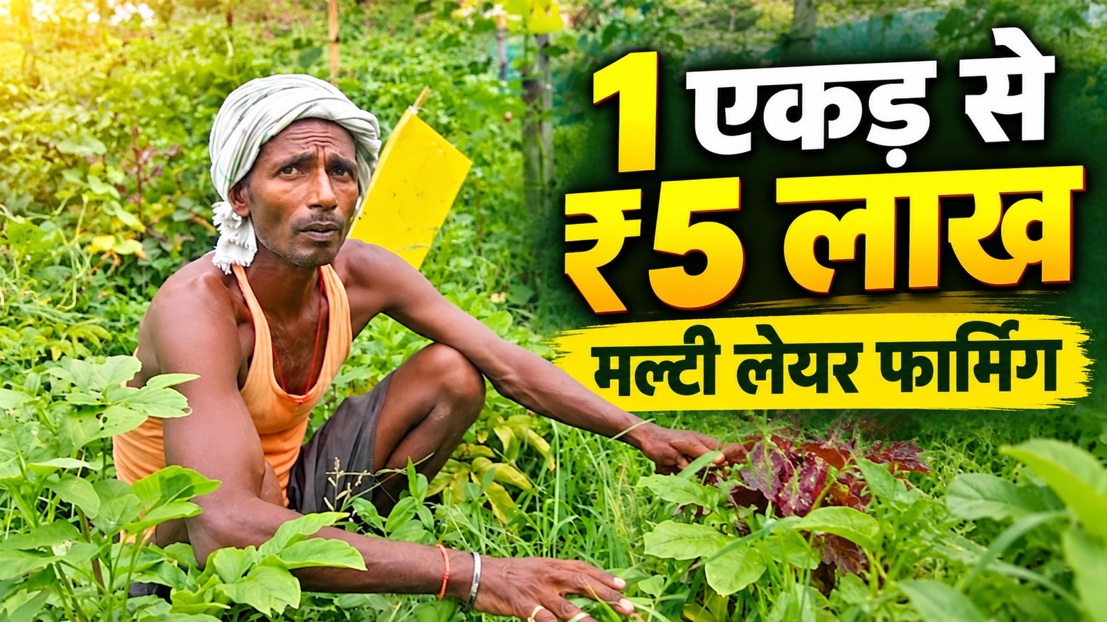 जीवेश कुमार यादव मल्टी लेयर फार्मिंग से 1 एकड़ जमीन पर सालाना 5 लाख रुपये तक कमाई Jivesh Kumar Yadav Success Story