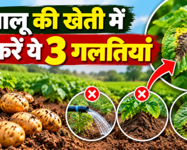 Aloo Ki Kheti Mein Na Karein Ye 3 Galtiyan
