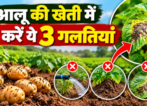 Aloo Ki Kheti Mein Na Karein Ye 3 Galtiyan