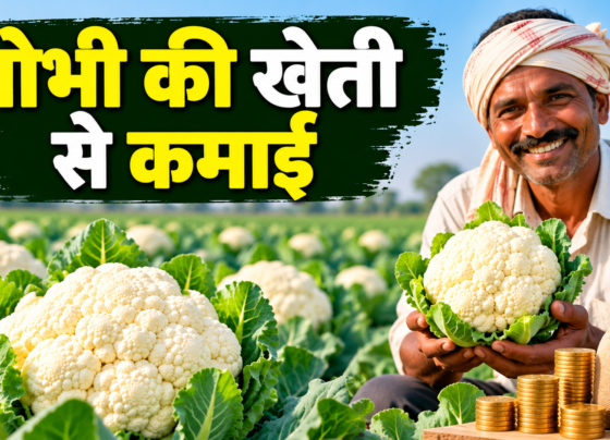 Gobhi Ki Kheti Se Kamai