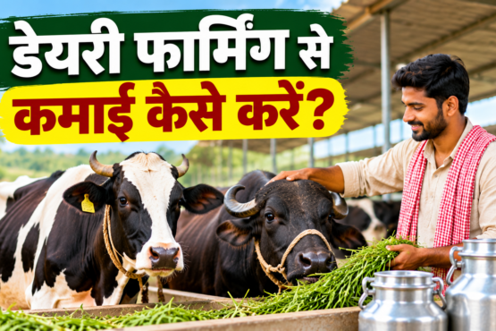 Dairy Farming Se Kamai Kaise Karein