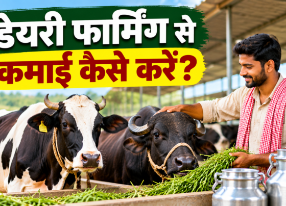 Dairy Farming Se Kamai Kaise Karein