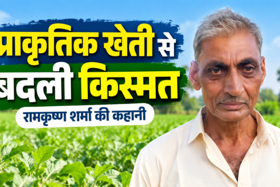 Ramkrishna Sharma Prakritik Kheti Success Story