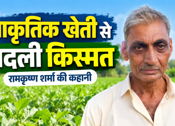 Ramkrishna Sharma Prakritik Kheti Success Story