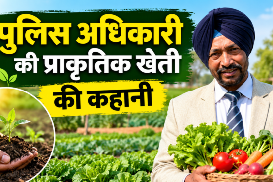Jarnail Singh Organic Farming Success Story