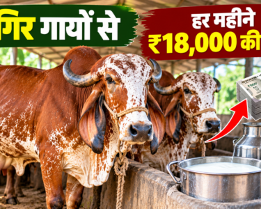 Kapil Dev Yadav Dairy Farming Success Story