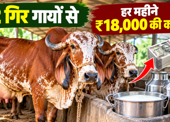 Kapil Dev Yadav Dairy Farming Success Story