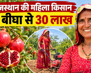 Santosh Devi Khedar Success Story
