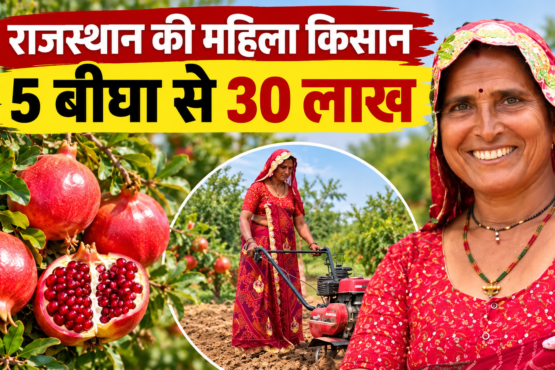Santosh Devi Khedar Success Story