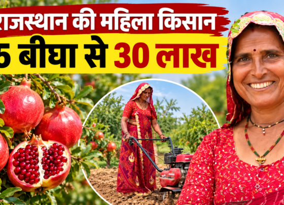 Santosh Devi Khedar Success Story