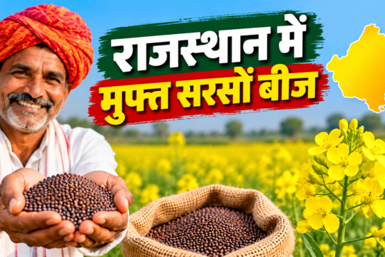 Rajasthan Mein Muft Sarson Beej Yojana 2026