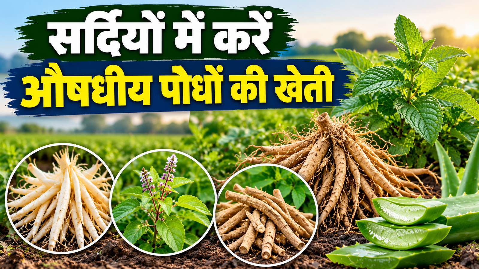 सर्दियों में करें इन 7 औषधीय पौधों की खेती, बाजार में है अच्छी मांग Sardi Mein Aushadhiya Paudhon Ki Kheti