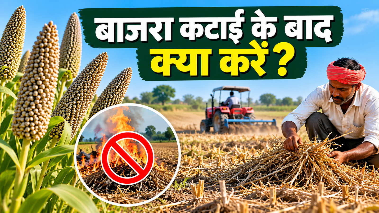 बाजरा की कटाई के बाद अगली फसल की बुवाई से पहले खेत में जरूर करें ये काम Bajra Katai Ke Baad Kya Karein?