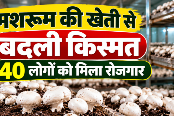 Anima Devi Mushroom Farming Success Story