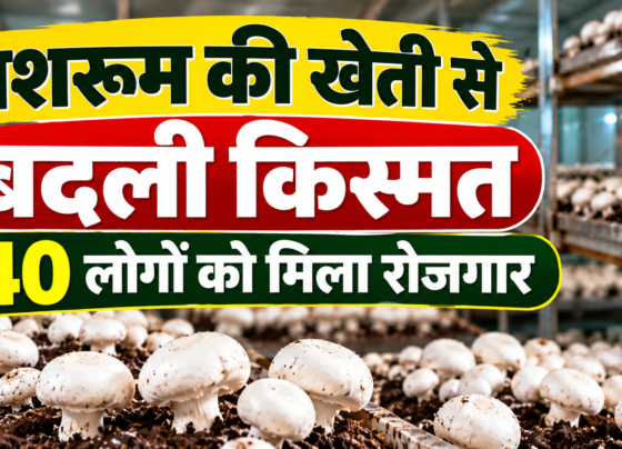 Anima Devi Mushroom Farming Success Story