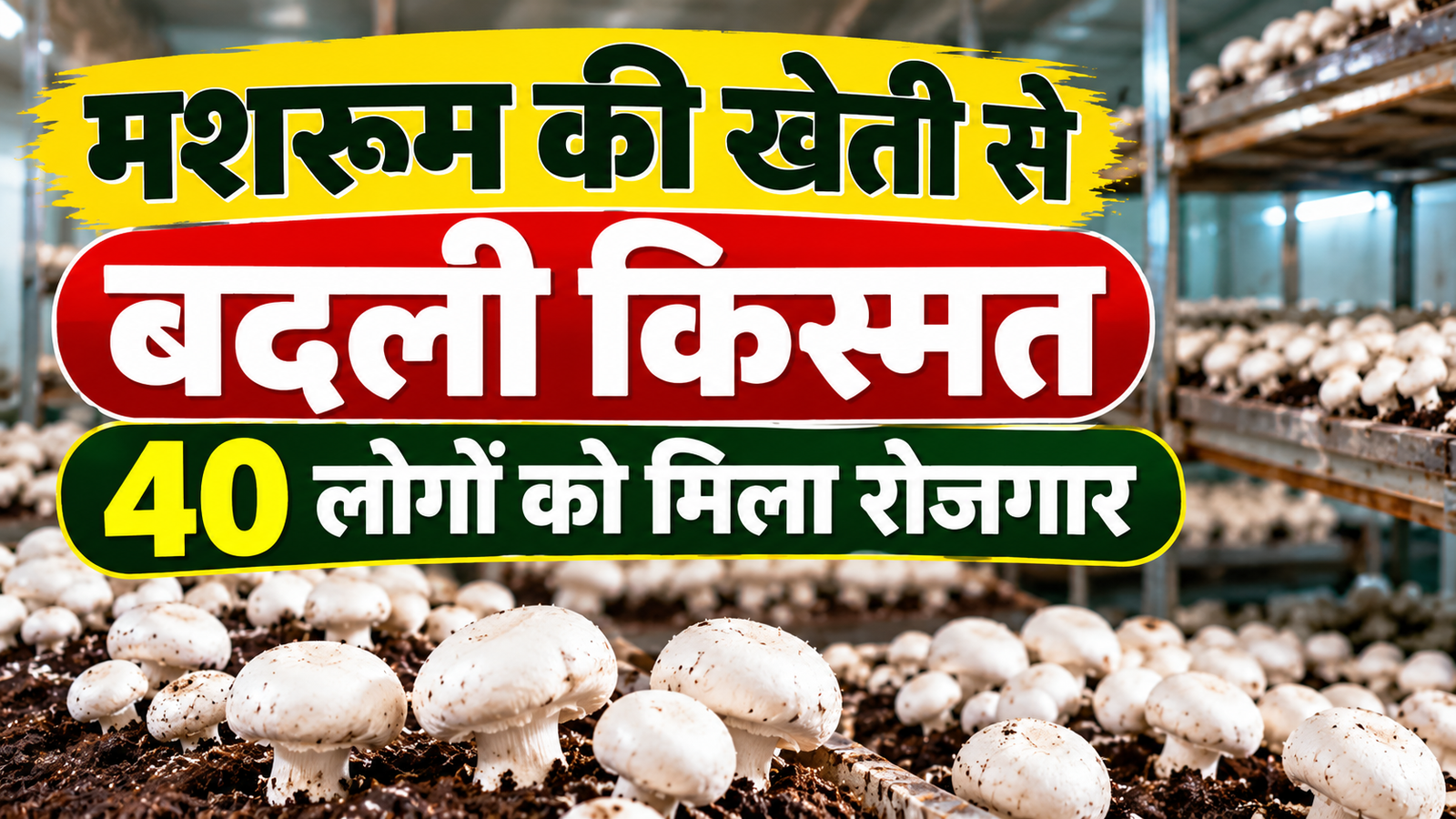 अनिमा देवी ने मशरूम की खेती से बदली किस्मत, 40 लोगों को मिला रोजगार Anima Devi Mushroom Farming Success Story