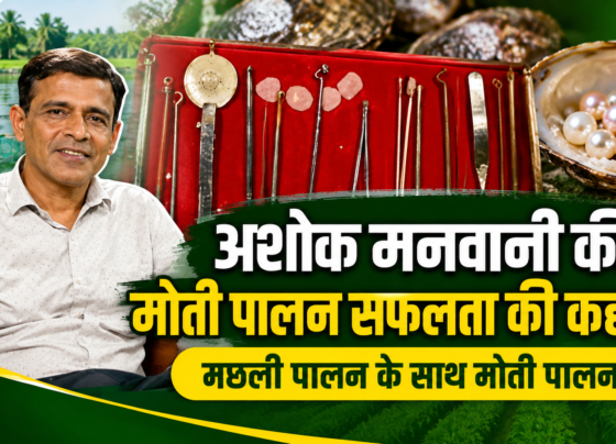 Ashok Manwani Pearl Farming Success Story