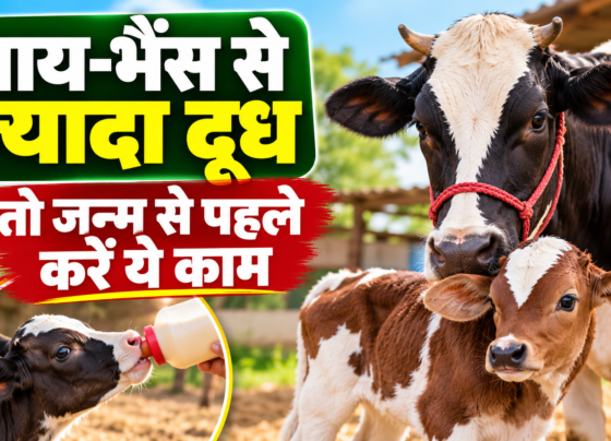 Gay-Bhais Ke Bachchon Ki Dekhbhal