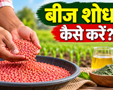 Beej Shodhan Kaise Karein