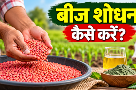 Beej Shodhan Kaise Karein