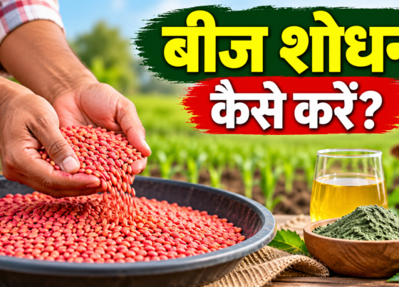 Beej Shodhan Kaise Karein