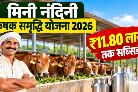 Mini Nandini Krishak Samriddhi Yojana 2026