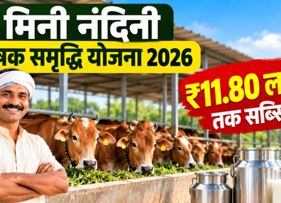 Mini Nandini Krishak Samriddhi Yojana 2026