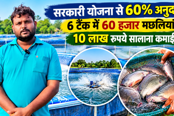 Arpit Sahu Biofloc Fish Farming Success Story