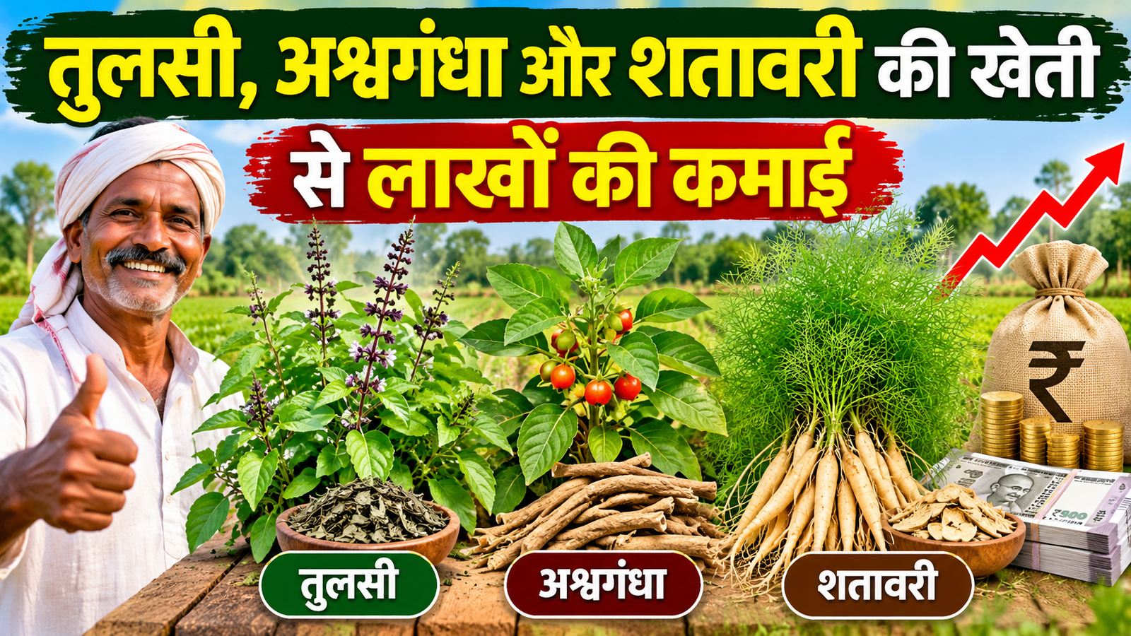 तुलसी, अश्वगंधा और शतावरी की खेती से बढ़ाएं आमदनी, सही बाजार से हो सकती है लाखों की कमाई Tulsi, Ashwagandha Aur Shatavari Ki Kheti
