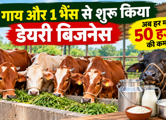 Ankit Singh Dairy Business Success Story