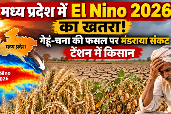 El Nino 2026