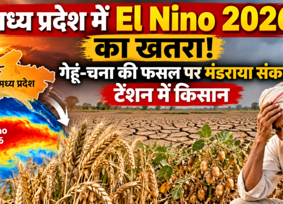 El Nino 2026