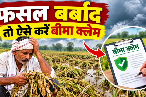 Fasal Barbad Hone Par Bima Claim