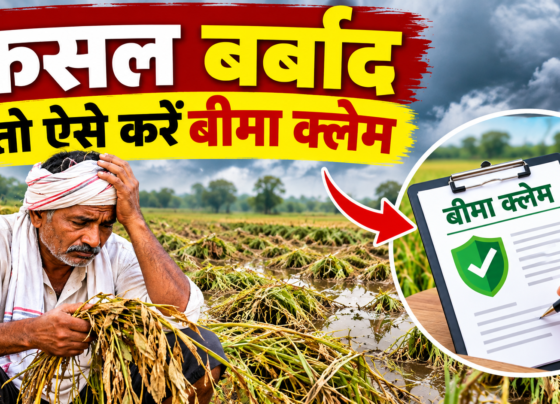 Fasal Barbad Hone Par Bima Claim
