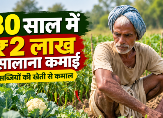 Rajendra Mahto Sabjiyon Ki Kheti Success Story