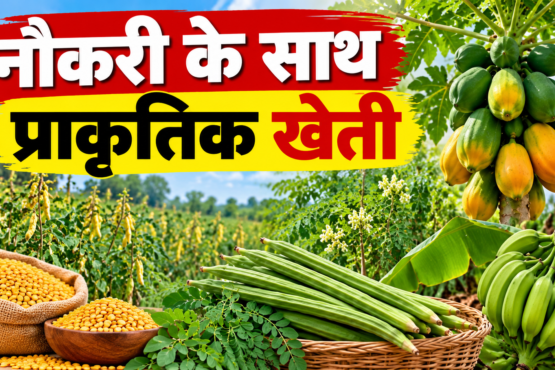 Shanti Gattineni Natural Farming Success Story