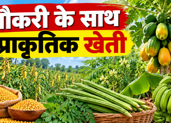 Shanti Gattineni Natural Farming Success Story