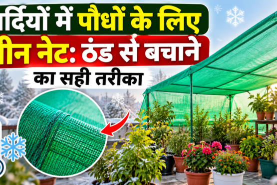 Sardiyon Mein Paudhon Ke Liye Green Net