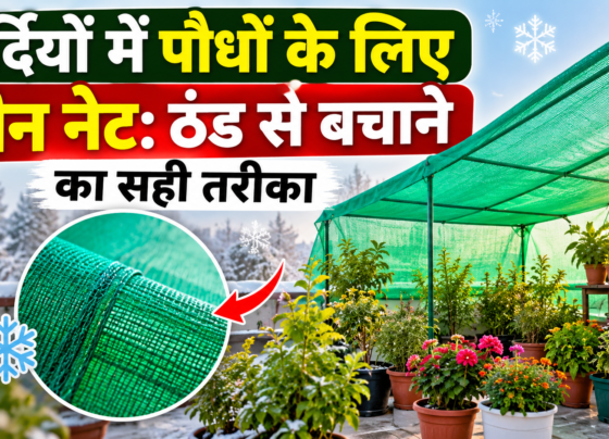 Sardiyon Mein Paudhon Ke Liye Green Net
