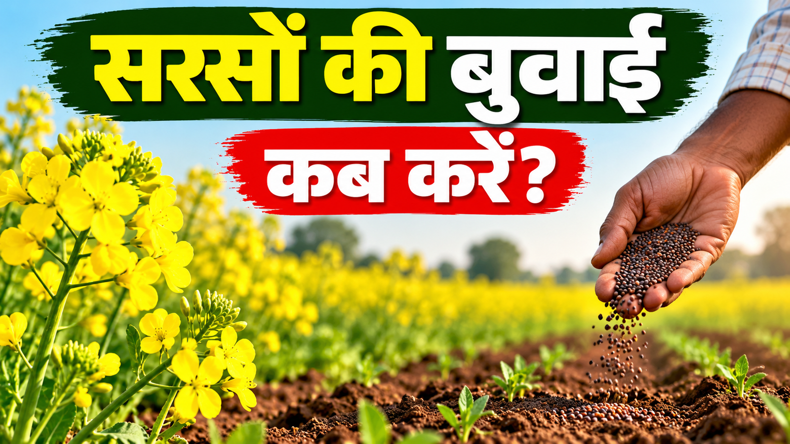 सरसों की बुवाई का सही समय और तरीका अपनाकर बढ़ाएं सरसों की पैदावार Sarson Ki Buwai Kab Karein?
