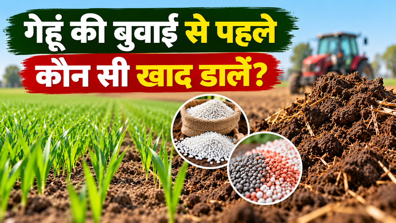 गेहूं की बंपर पैदावार के लिए अपनाएं खाद डालने का सही तरीका Gehun Ki Buwai Se Pahle Kaun Si Khad Dale