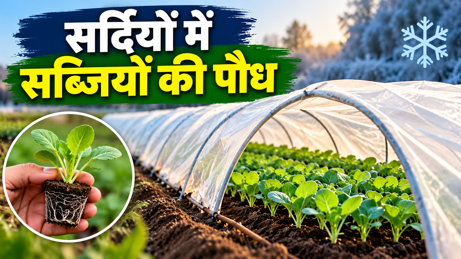 सर्दियों में सब्जियों की पौध कैसे तैयार करें? जानें लो टनल तकनीक का आसान तरीका Sabjiyon Ki Paudh Kaise Taiyar Kare?