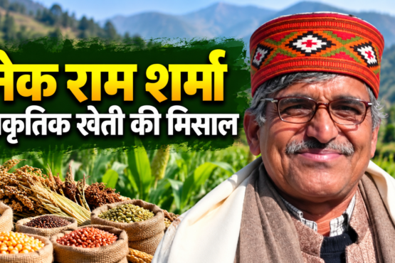 Nek Ram Sharma Prakritik Kheti Success Story