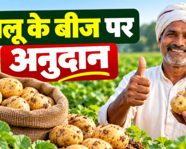 Aloo Ke Beej Par Anudan
