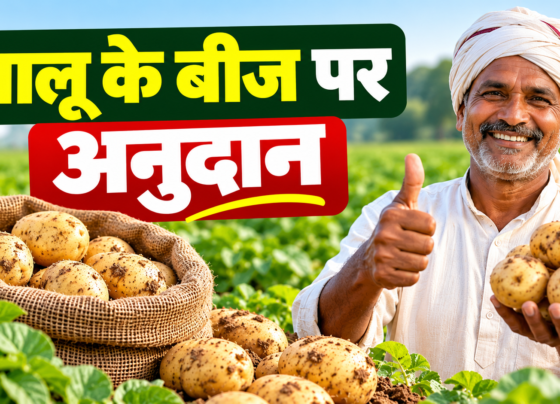 Aloo Ke Beej Par Anudan