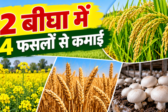 Saurav Kumar Farming Success Story