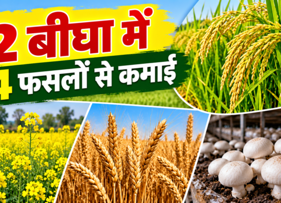 Saurav Kumar Farming Success Story