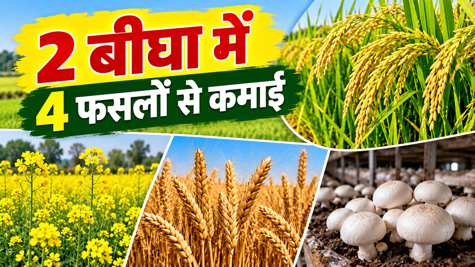 सौरव कुमार 2 बीघा जमीन में खेती कर सालाना 4 लाख रुपये तक कमा रहे बिहार के युवा किसान Saurav Kumar Farming Success Story