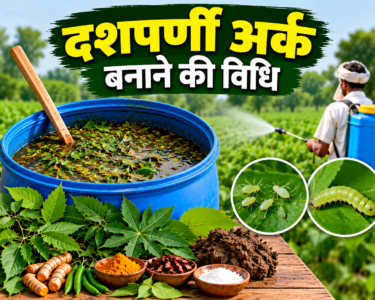 Dashparni Ark Banane Ki Vidhi