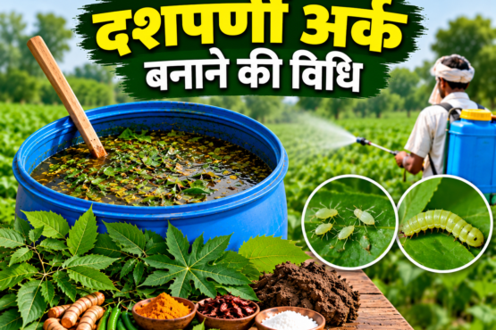 Dashparni Ark Banane Ki Vidhi